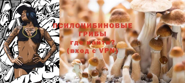 PSILOCYBIN Алексеевка